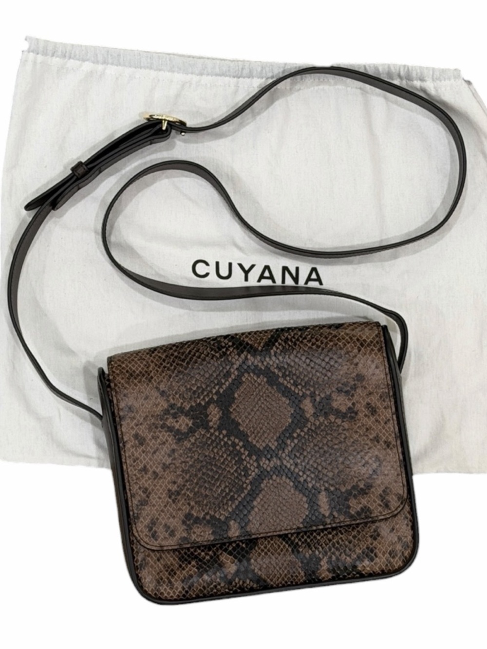 Cuyana Snakeskin Messenger Crossbody